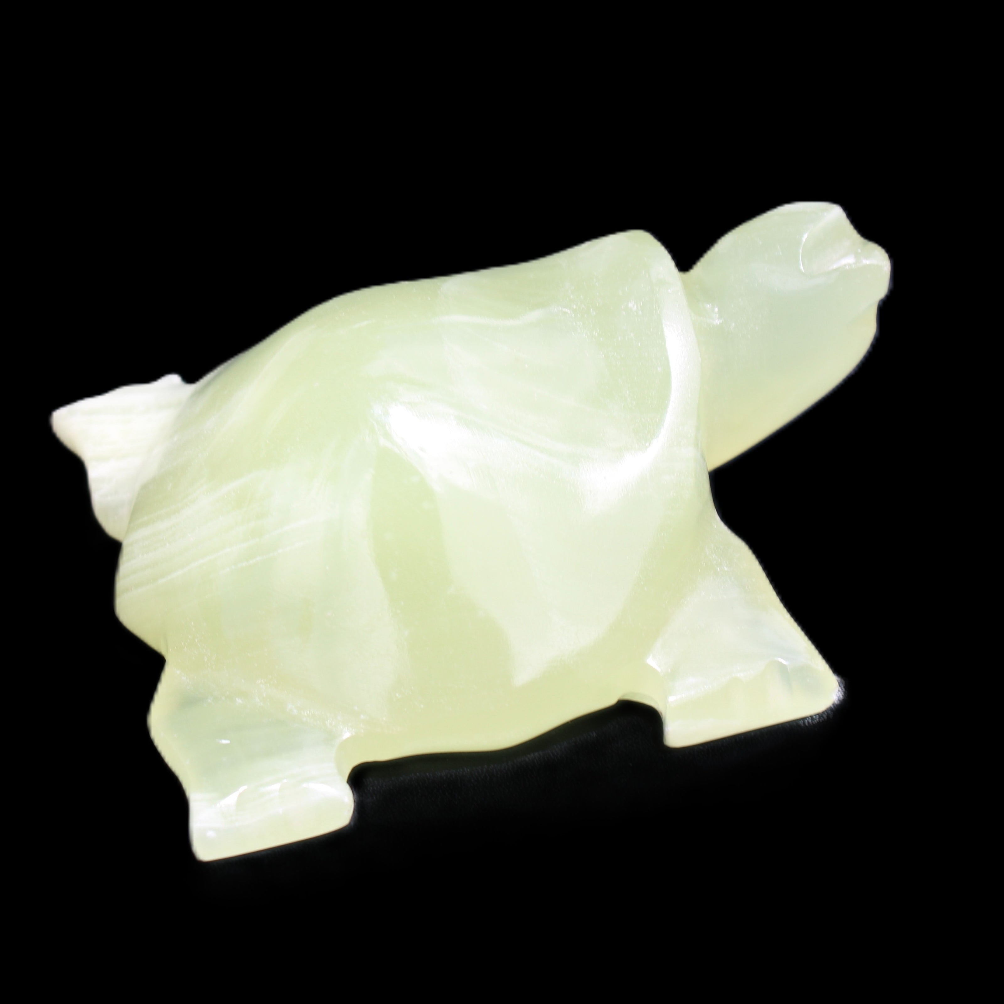 Afghan Jade Turtle hand-carved 78*72*31mm 211g in sunlight - Rocks and Things Store