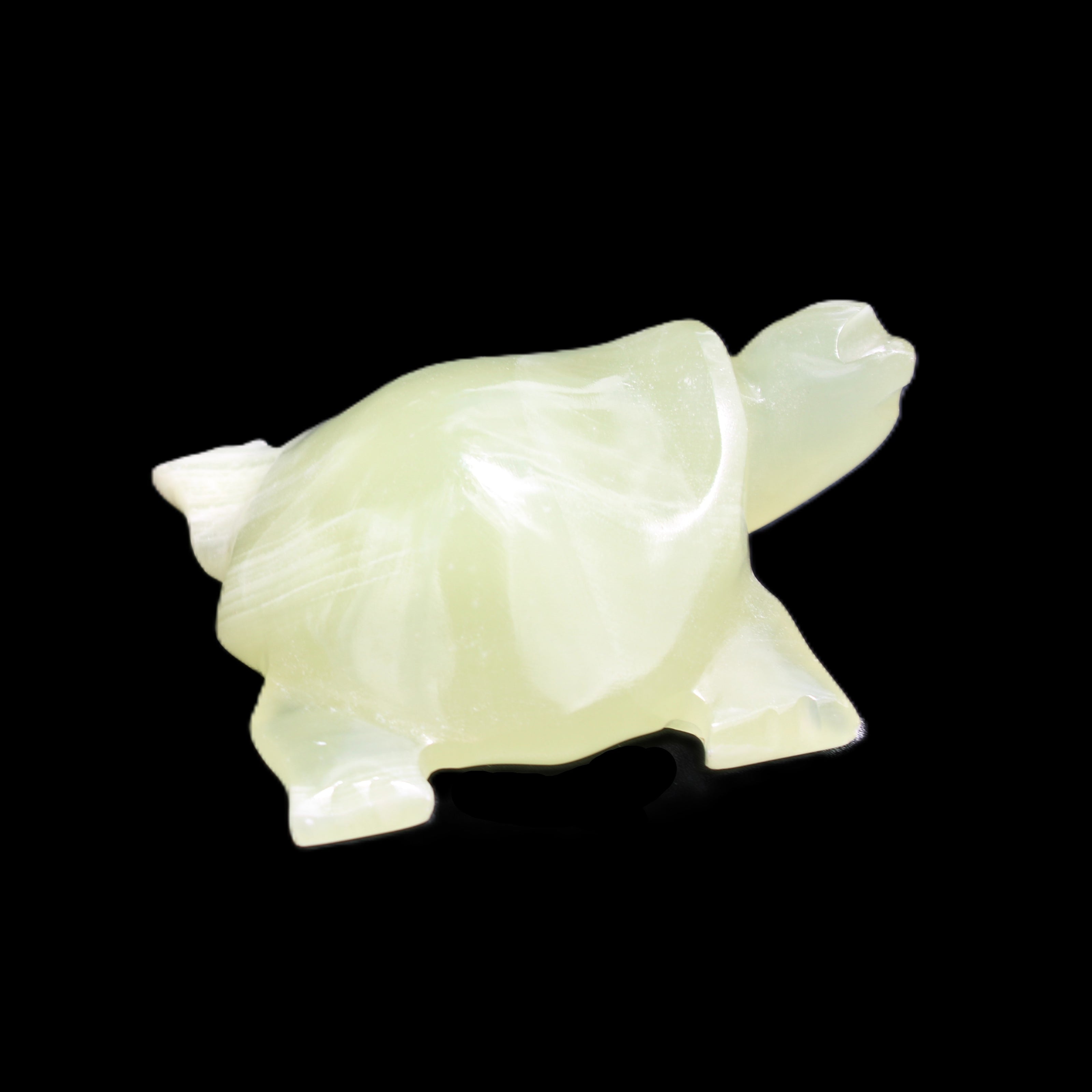 Afghan Jade Turtle hand-carved 78*72*31mm 211g in sunlight - Rocks and Things Store