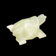 Afghan Jade Turtle hand-carved 78*72*31mm 211g in sunlight - Rocks and Things Store
