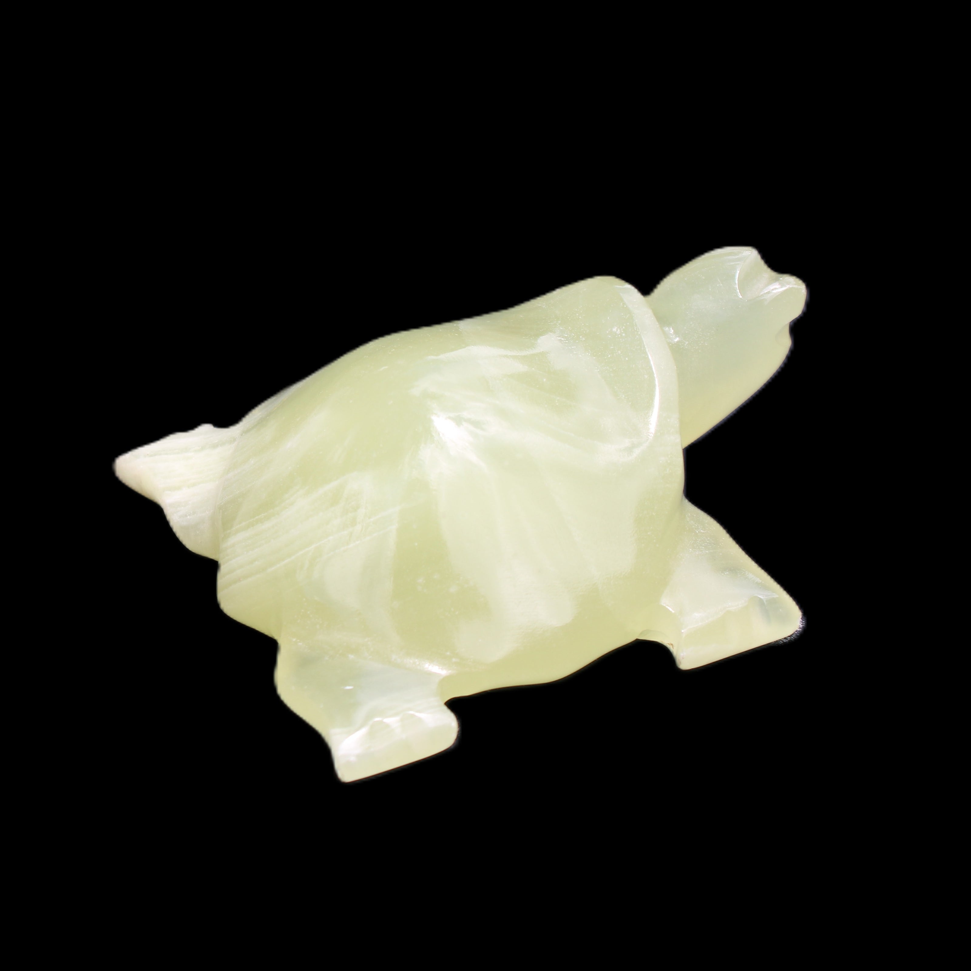 Afghan Jade Turtle hand-carved 78*72*31mm 211g in sunlight - Rocks and Things Store