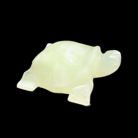 Afghan Jade Turtle hand-carved 78*72*31mm 211g in sunlight - Rocks and Things Store