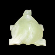 Afghan Jade Turtle hand-carved 78*72*31mm 211g in sunlight - Rocks and Things Store