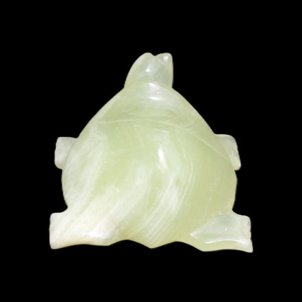 Afghan Jade Turtle hand-carved 78*72*31mm 211g in sunlight - Rocks and Things Store