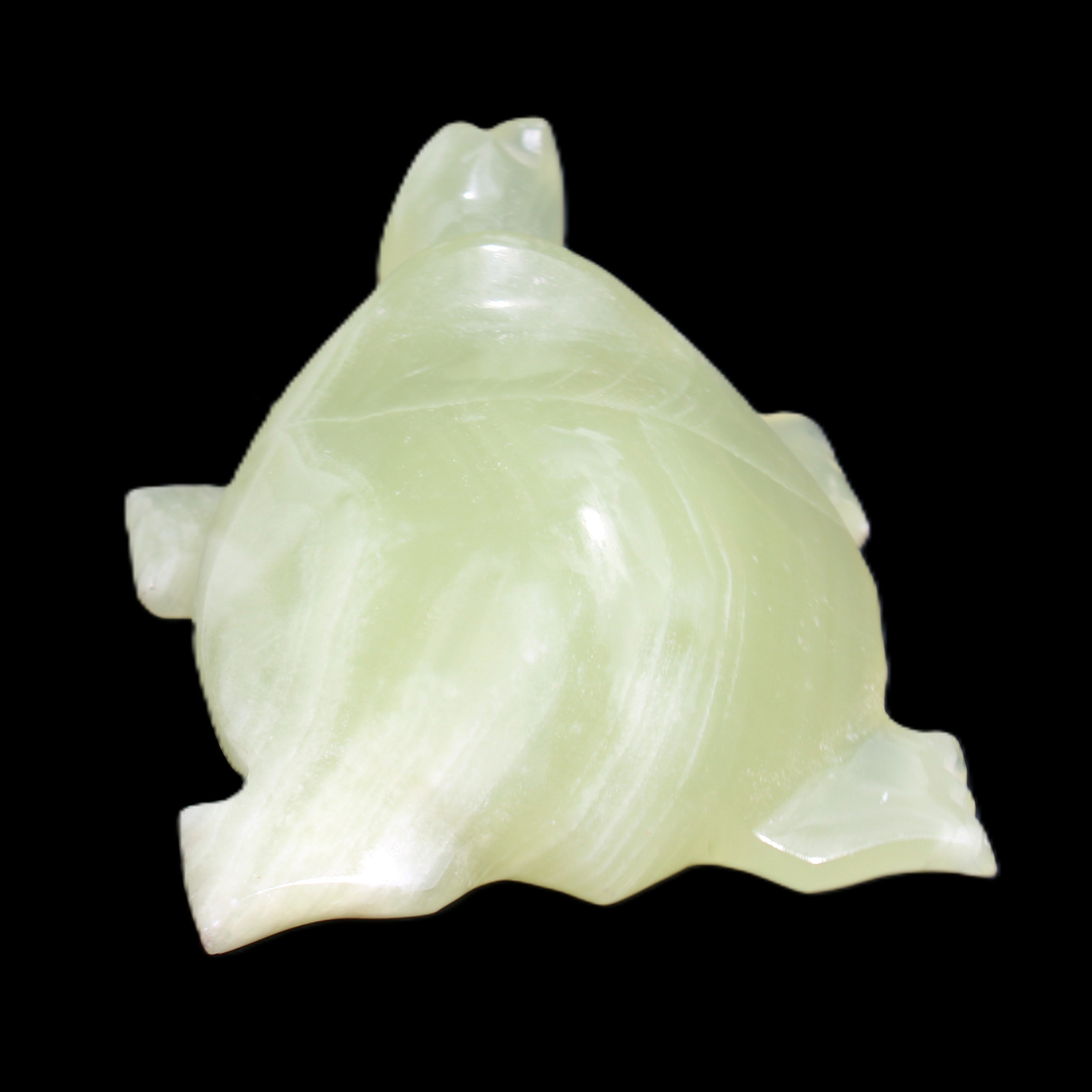 Afghan Jade Turtle hand-carved 78*72*31mm 211g in sunlight - Rocks and Things Store