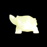 Afghan Jade Turtle hand-carved 78*72*31mm 211g in sunlight - Rocks and Things Store