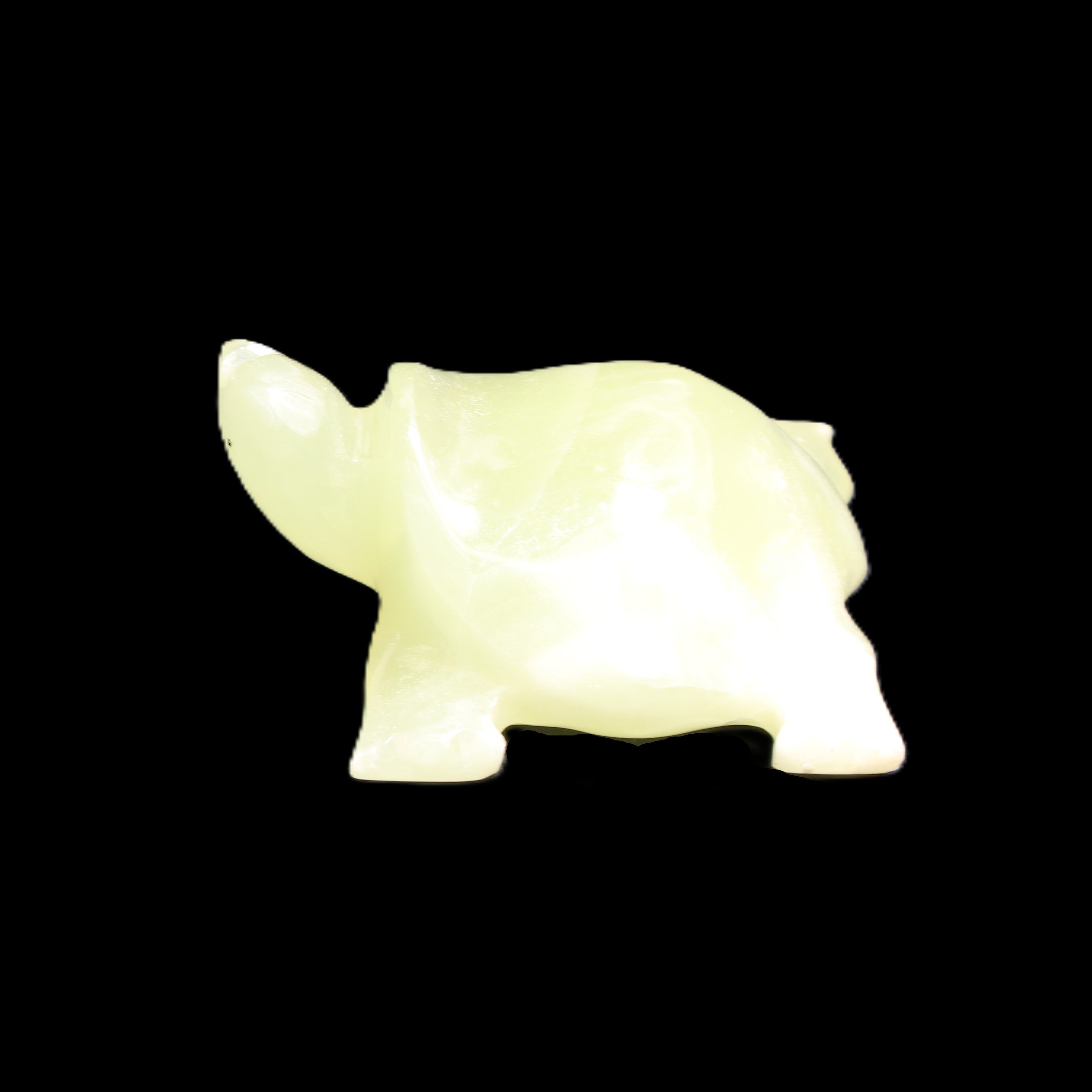 Afghan Jade Turtle hand-carved 78*72*31mm 211g in sunlight - Rocks and Things Store