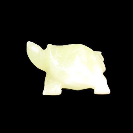 Afghan Jade Turtle hand-carved 78*72*31mm 211g in sunlight - Rocks and Things Store