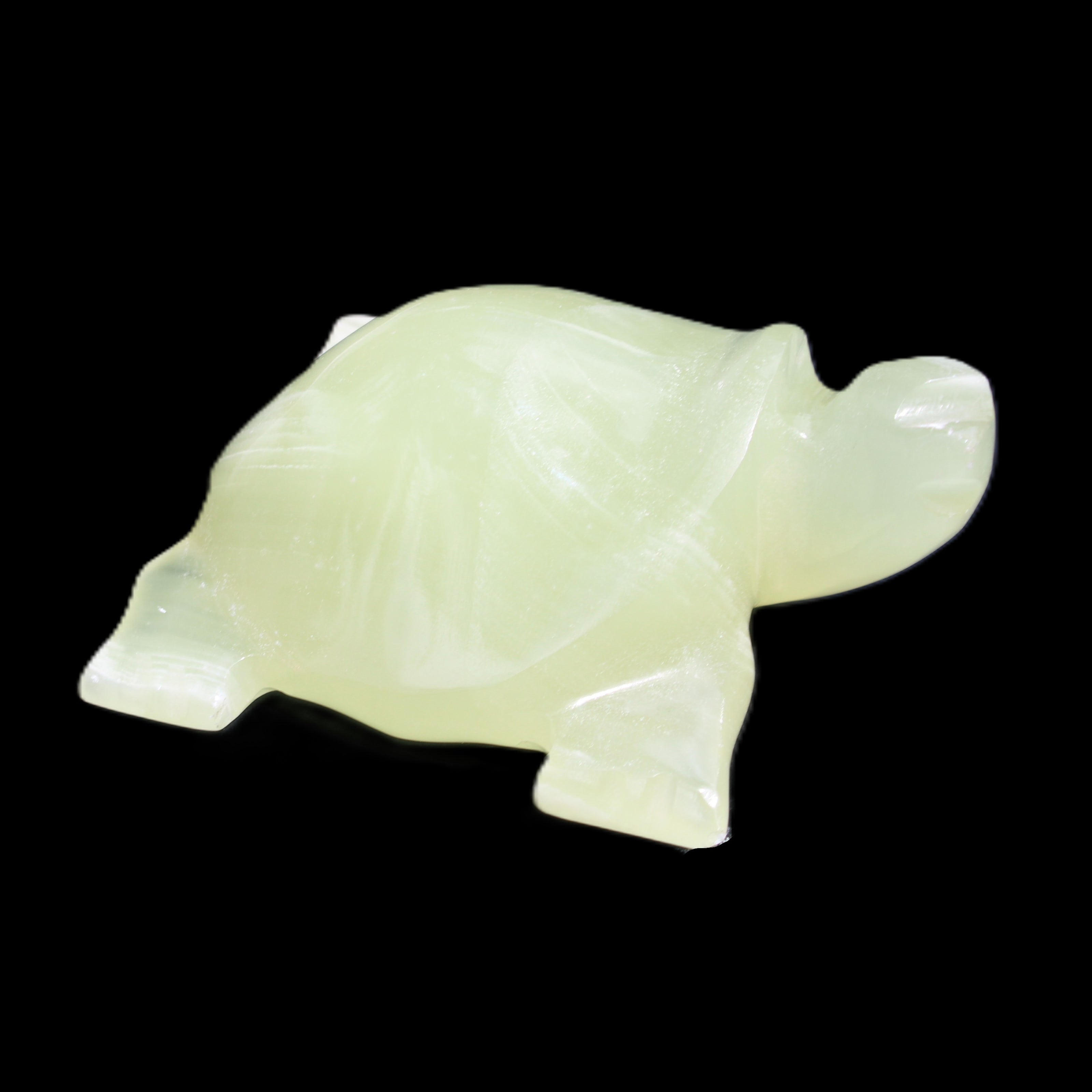 Afghan Jade Turtle hand-carved 78*72*31mm 211g in sunlight - Rocks and Things Store