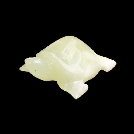 Afghan Jade Turtle hand-carved 78*72*31mm 211g in sunlight - Rocks and Things Store
