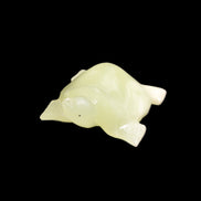 Afghan Jade Turtle hand-carved 78*72*31mm 211g in sunlight - Rocks and Things Store