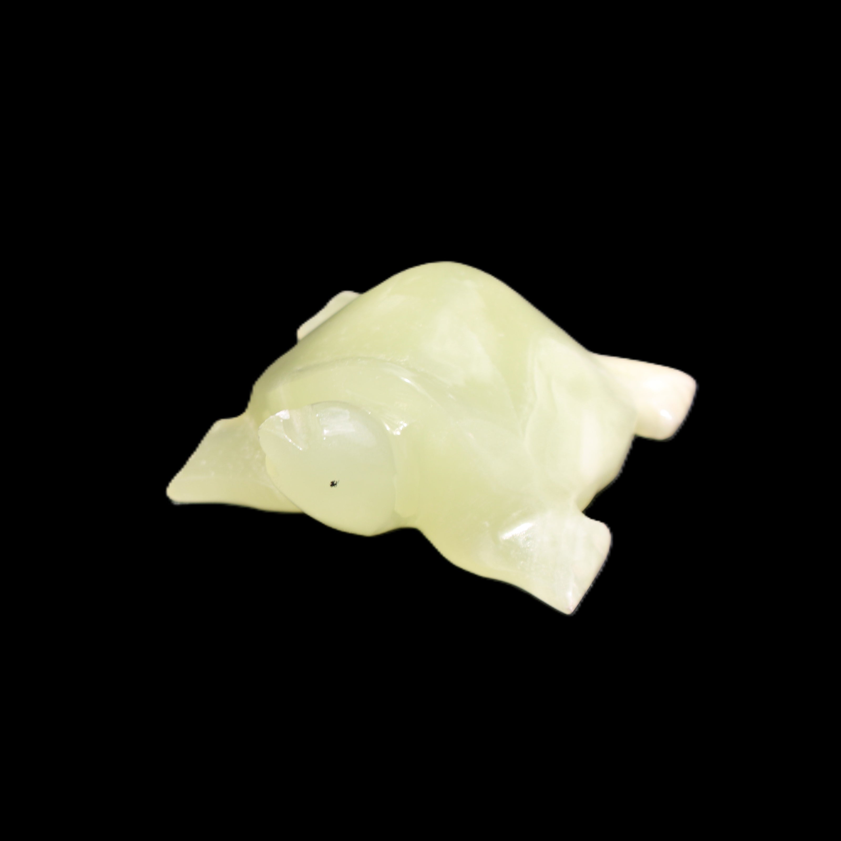 Afghan Jade Turtle hand-carved 78*72*31mm 211g in sunlight - Rocks and Things Store