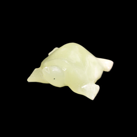 Afghan Jade Turtle hand-carved 78*72*31mm 211g in sunlight - Rocks and Things Store