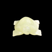 Afghan Jade Turtle hand-carved 78*72*31mm 211g in sunlight - Rocks and Things Store