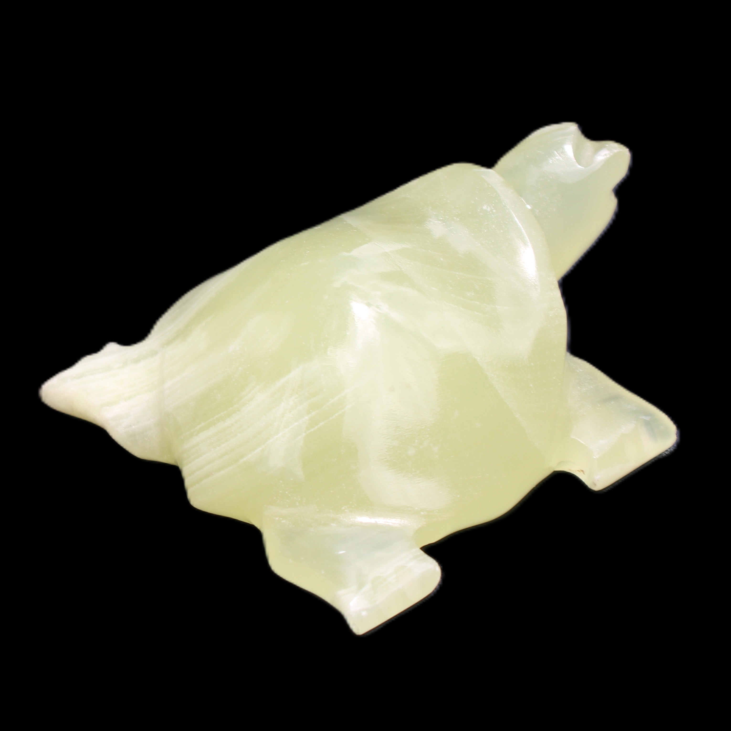 Afghan Jade Turtle hand-carved 78*72*31mm 211g in sunlight - Rocks and Things Store