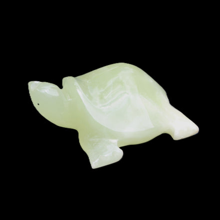Afghan Jade Turtle hand-carved 78*72*31mm 211g in sunlight - Rocks and Things Store