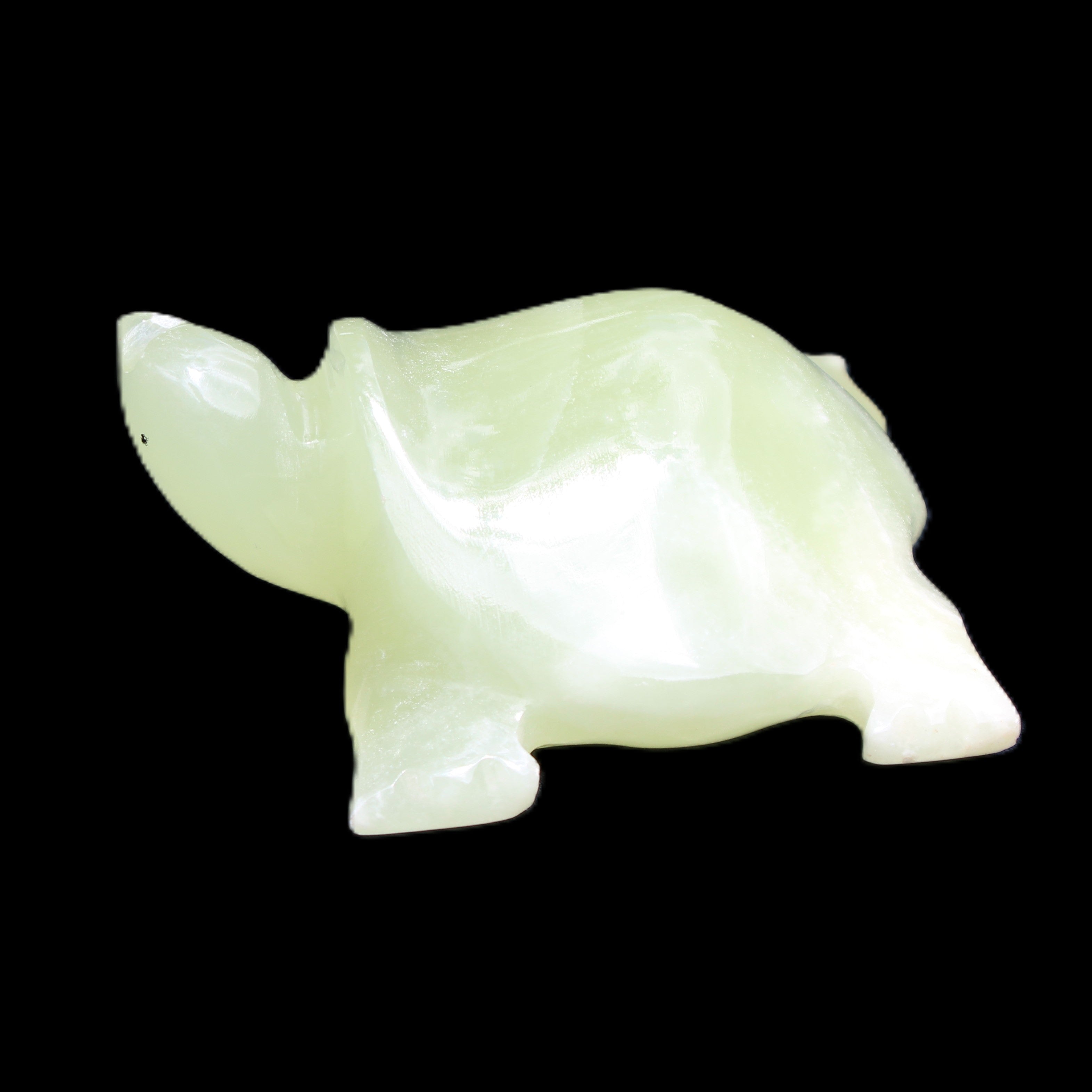 Afghan Jade Turtle hand-carved 78*72*31mm 211g in sunlight - Rocks and Things Store