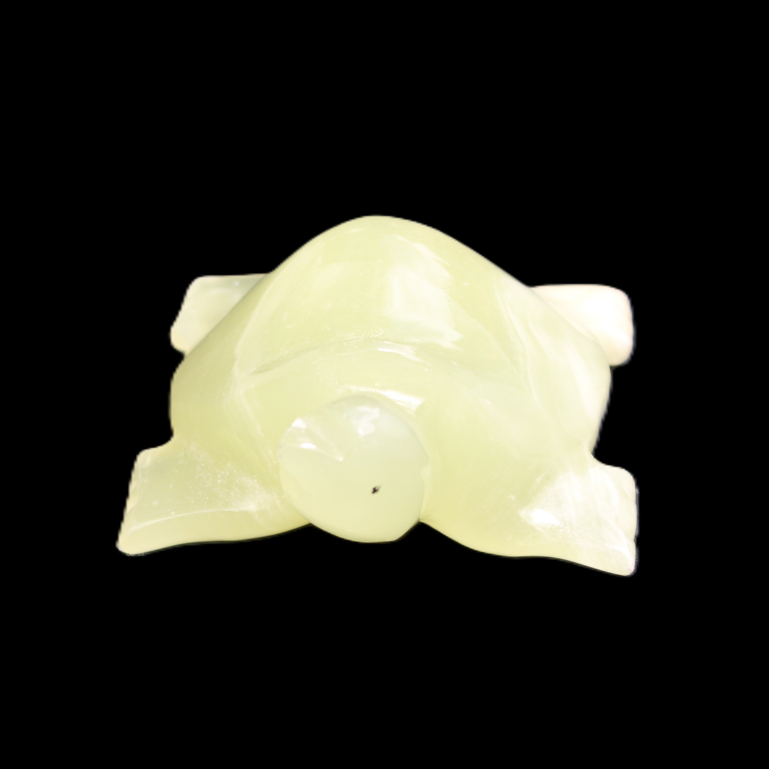 Afghan Jade Turtle hand-carved 78*72*31mm 211g in sunlight - Rocks and Things Store