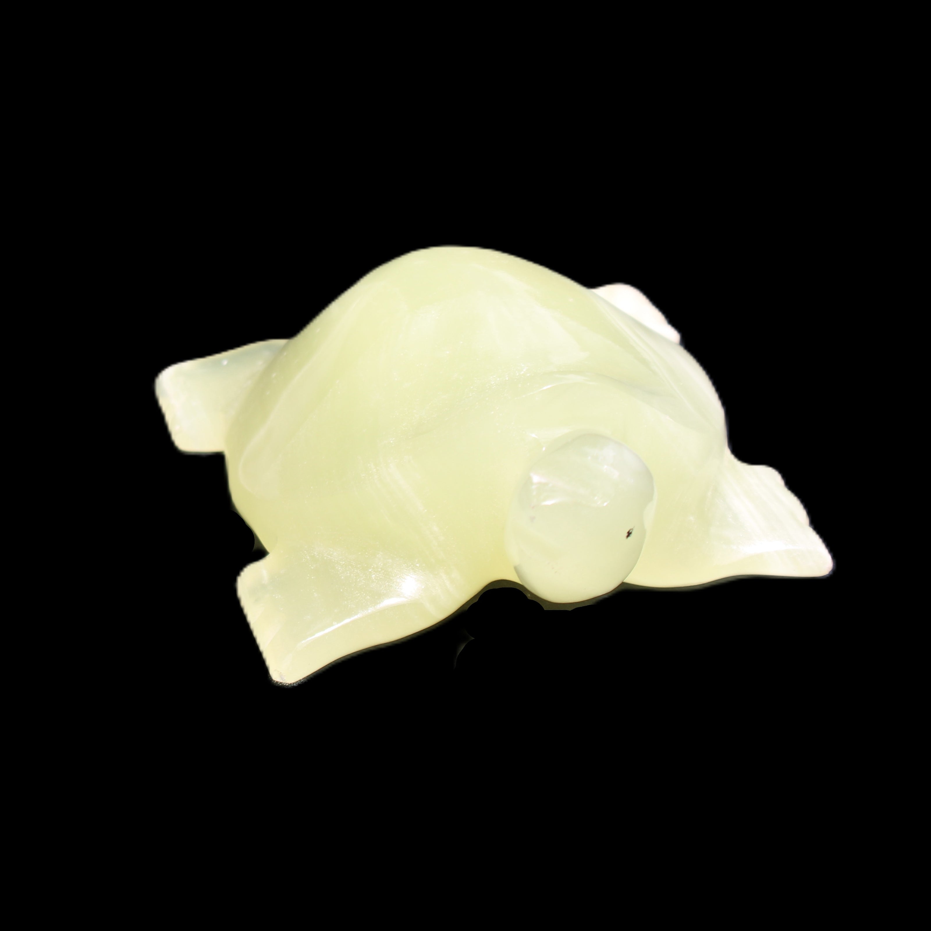 Afghan Jade Turtle hand-carved 78*72*31mm 211g in sunlight - Rocks and Things Store