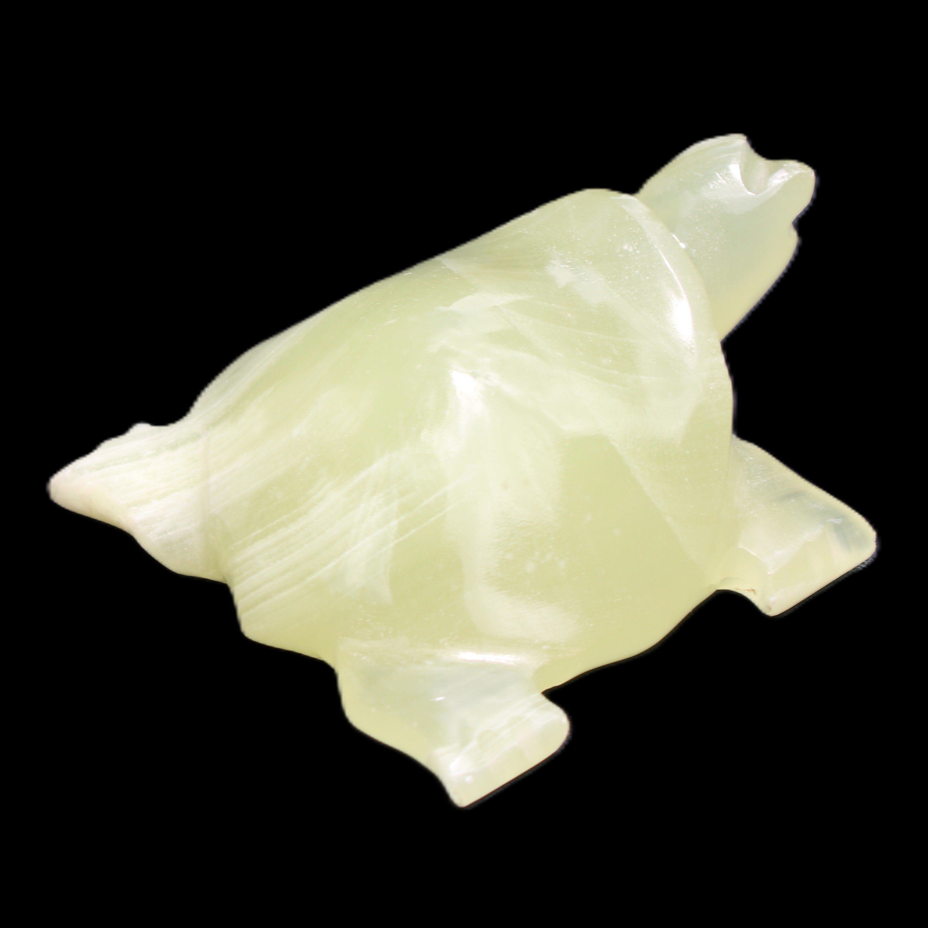 Afghan Jade Turtle hand-carved 78*72*31mm 211g in sunlight - Rocks and Things Store