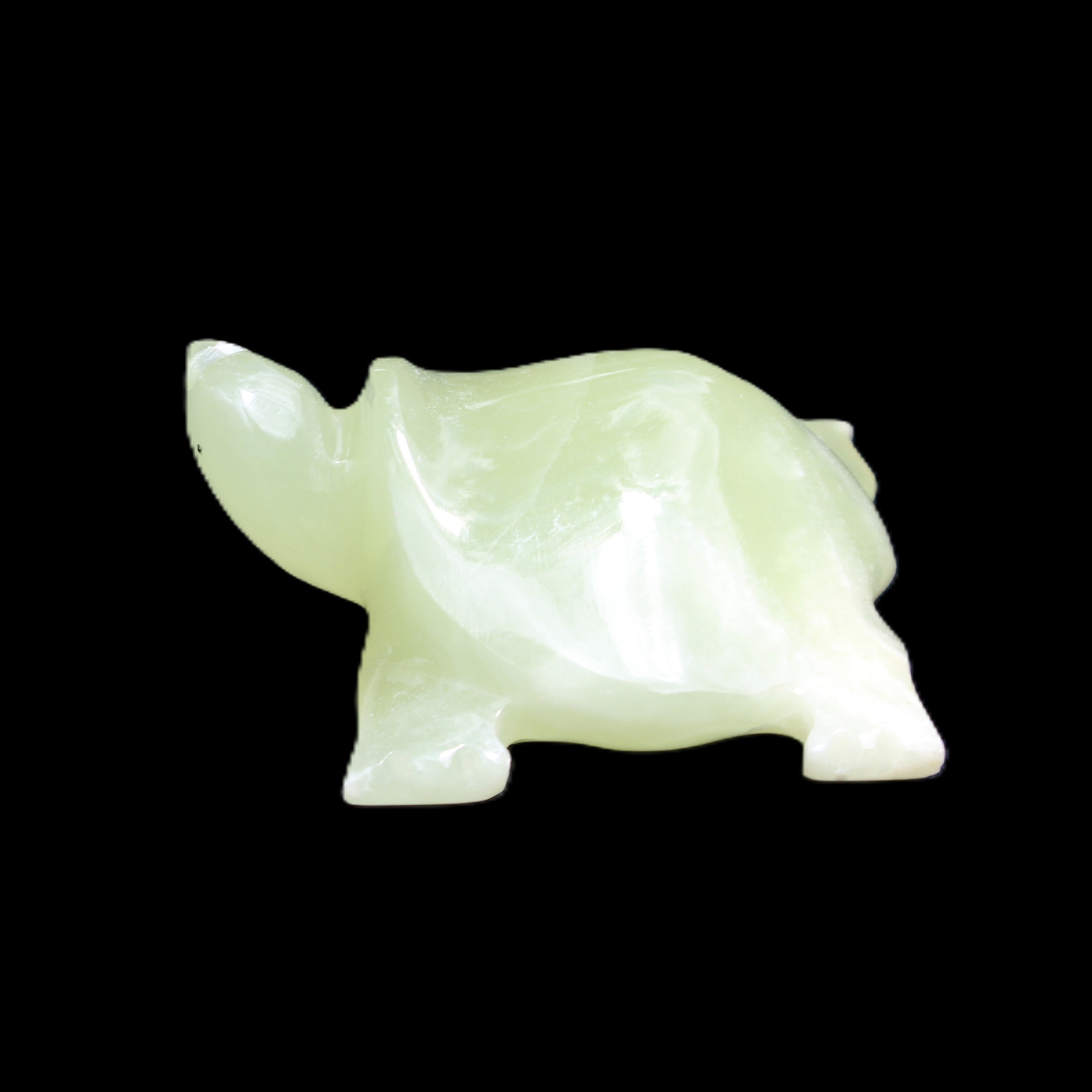Afghan Jade Turtle hand-carved 78*72*31mm 211g in sunlight - Rocks and Things Store