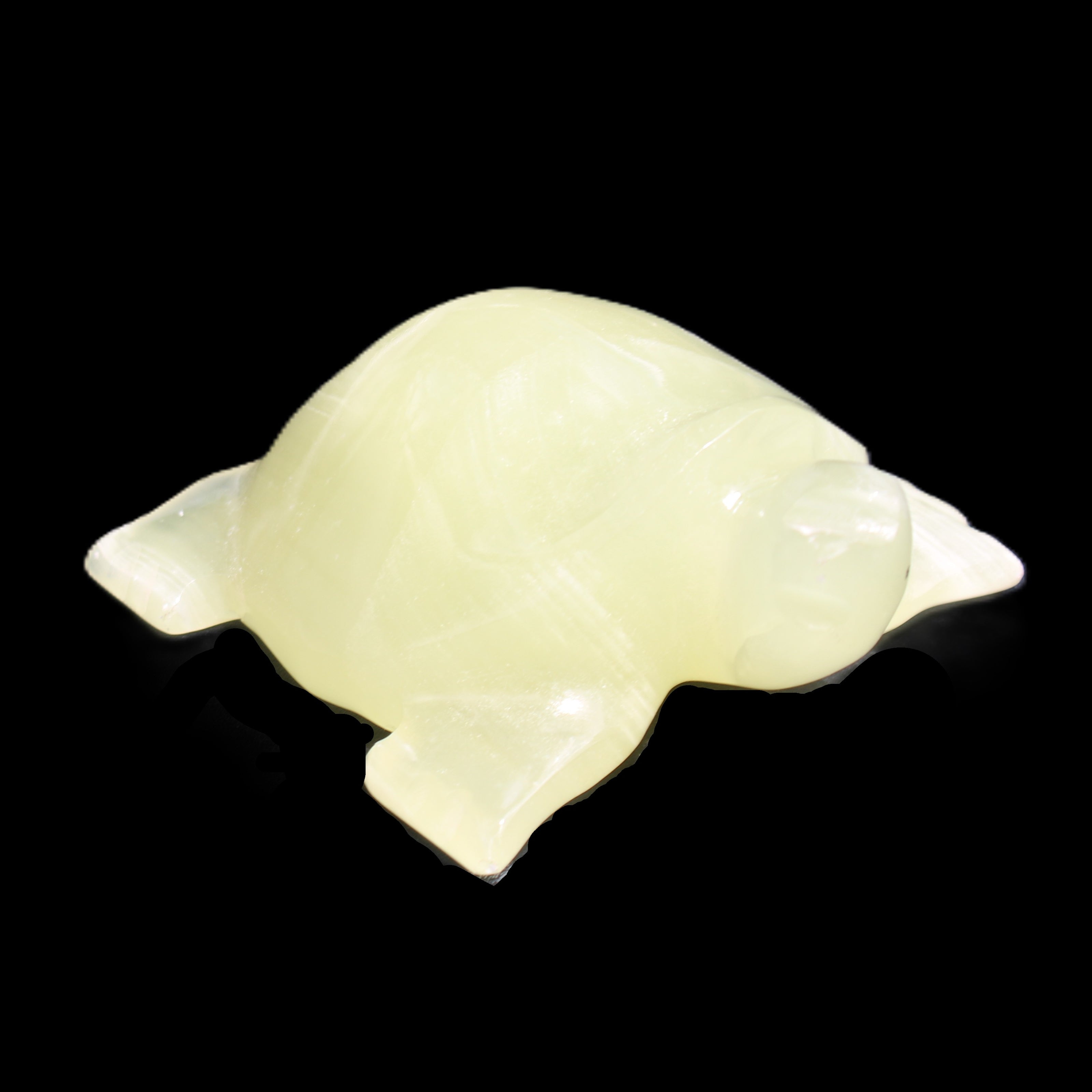 Afghan Jade Turtle hand-carved 78*72*31mm 211g in sunlight - Rocks and Things Store