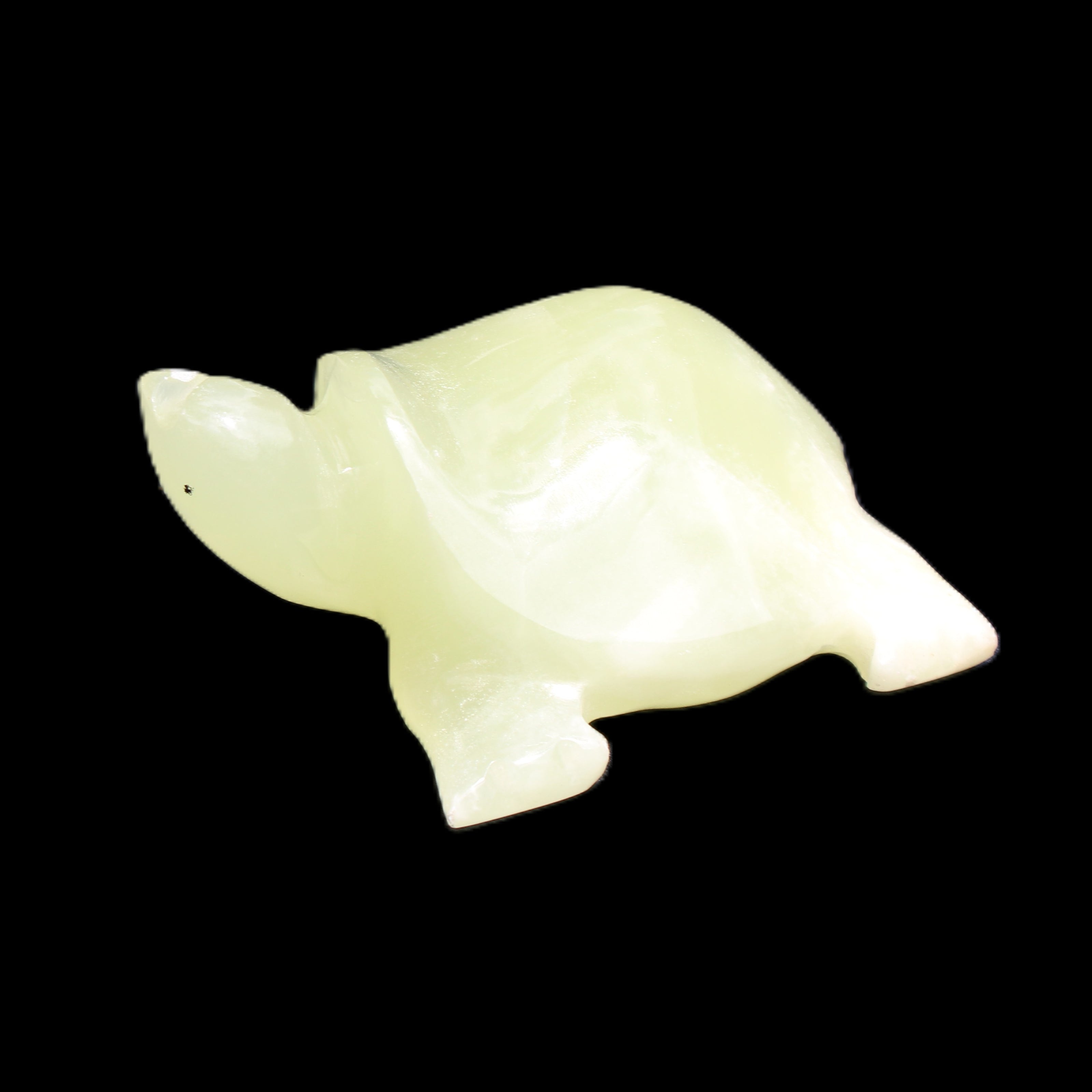 Afghan Jade Turtle hand-carved 78*72*31mm 211g in sunlight - Rocks and Things Store