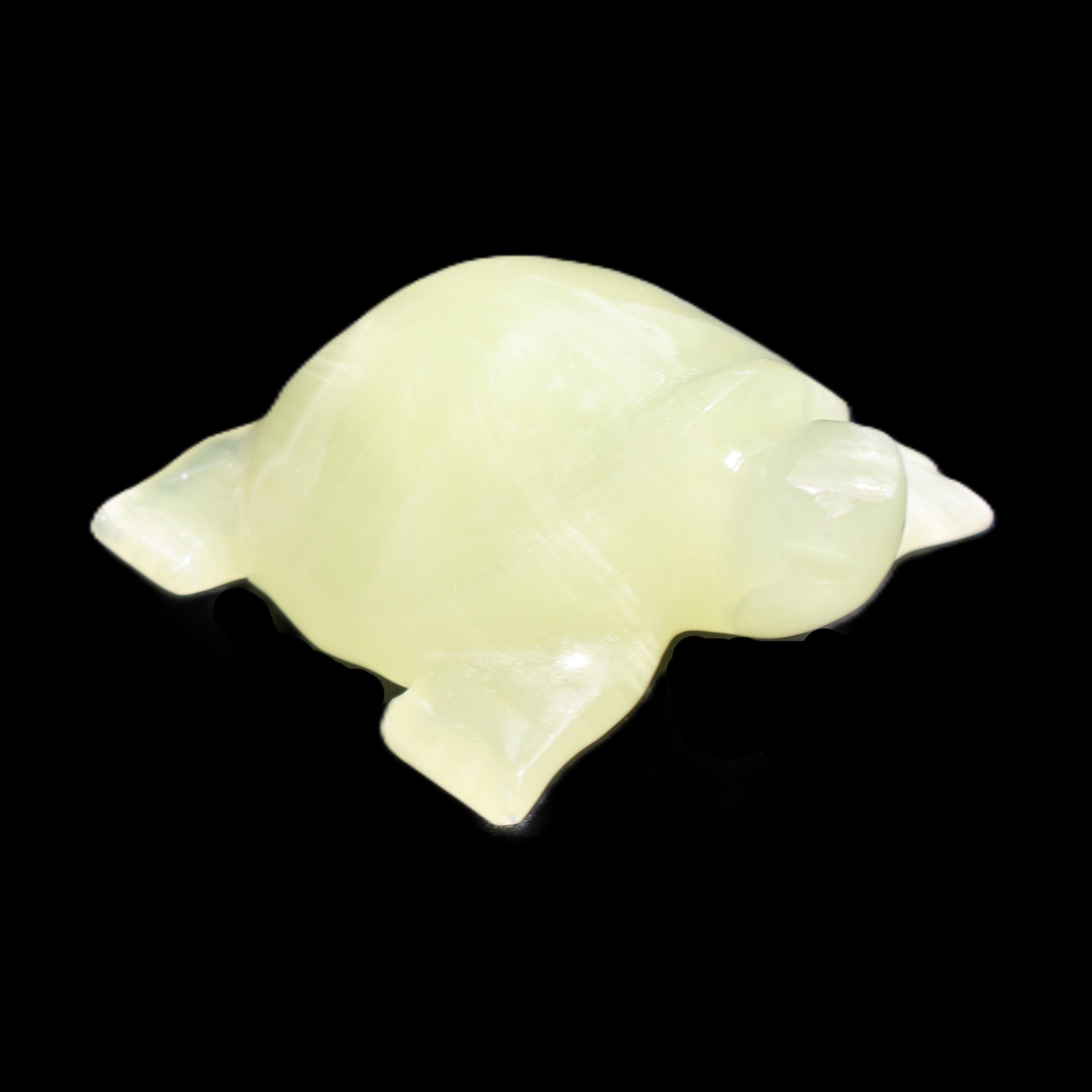 Afghan Jade Turtle hand-carved 78*72*31mm 211g in sunlight - Rocks and Things Store