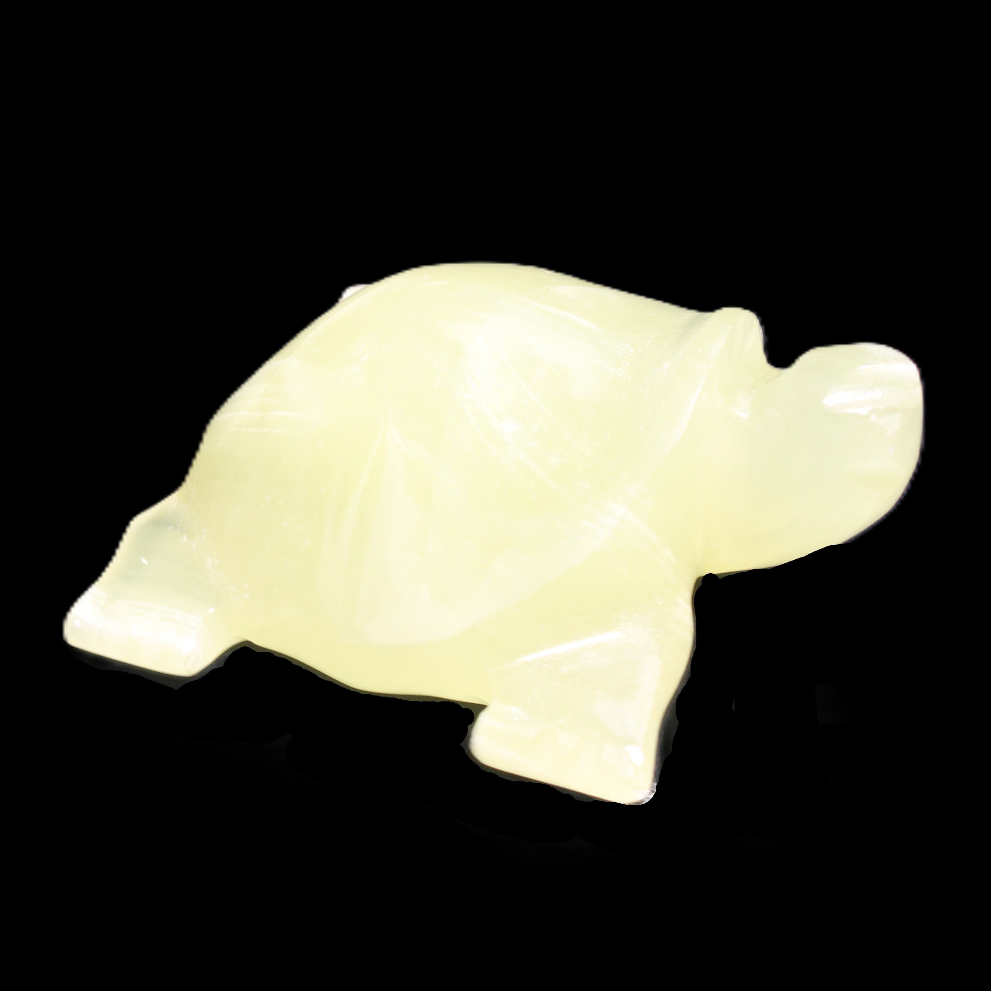 Afghan Jade Turtle hand-carved 78*72*31mm 211g in sunlight - Rocks and Things Store
