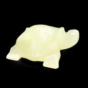 Afghan Jade Turtle hand-carved 78*72*31mm 211g in sunlight - Rocks and Things Store