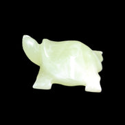 Afghan Jade Turtle hand-carved 78*72*31mm 211g in sunlight - Rocks and Things Store