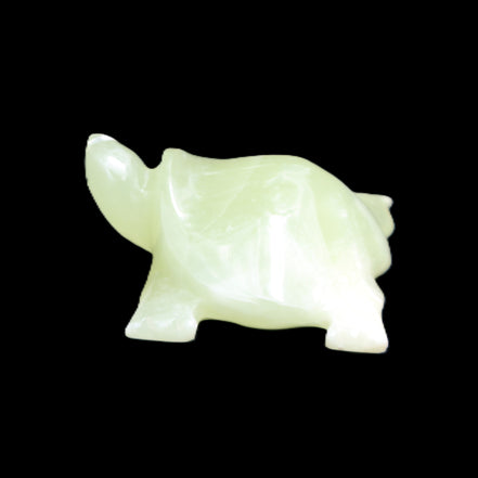 Afghan Jade Turtle hand-carved 78*72*31mm 211g in sunlight - Rocks and Things Store