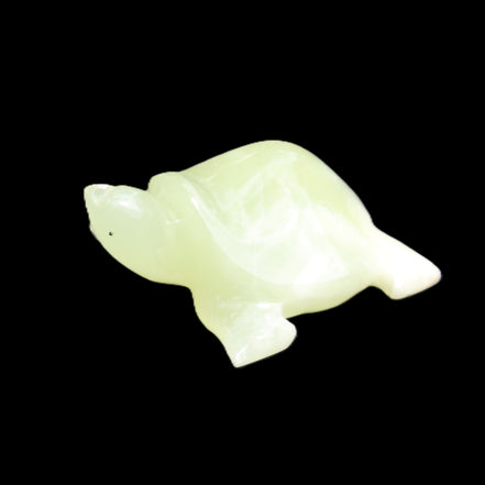 Afghan Jade Turtle hand-carved 78*72*31mm 211g in sunlight - Rocks and Things Store