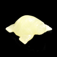 Afghan Jade Turtle hand-carved 78*72*31mm 211g in sunlight - Rocks and Things Store
