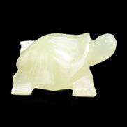 Afghan Jade Turtle hand-carved 78*72*31mm 211g in sunlight - Rocks and Things Store