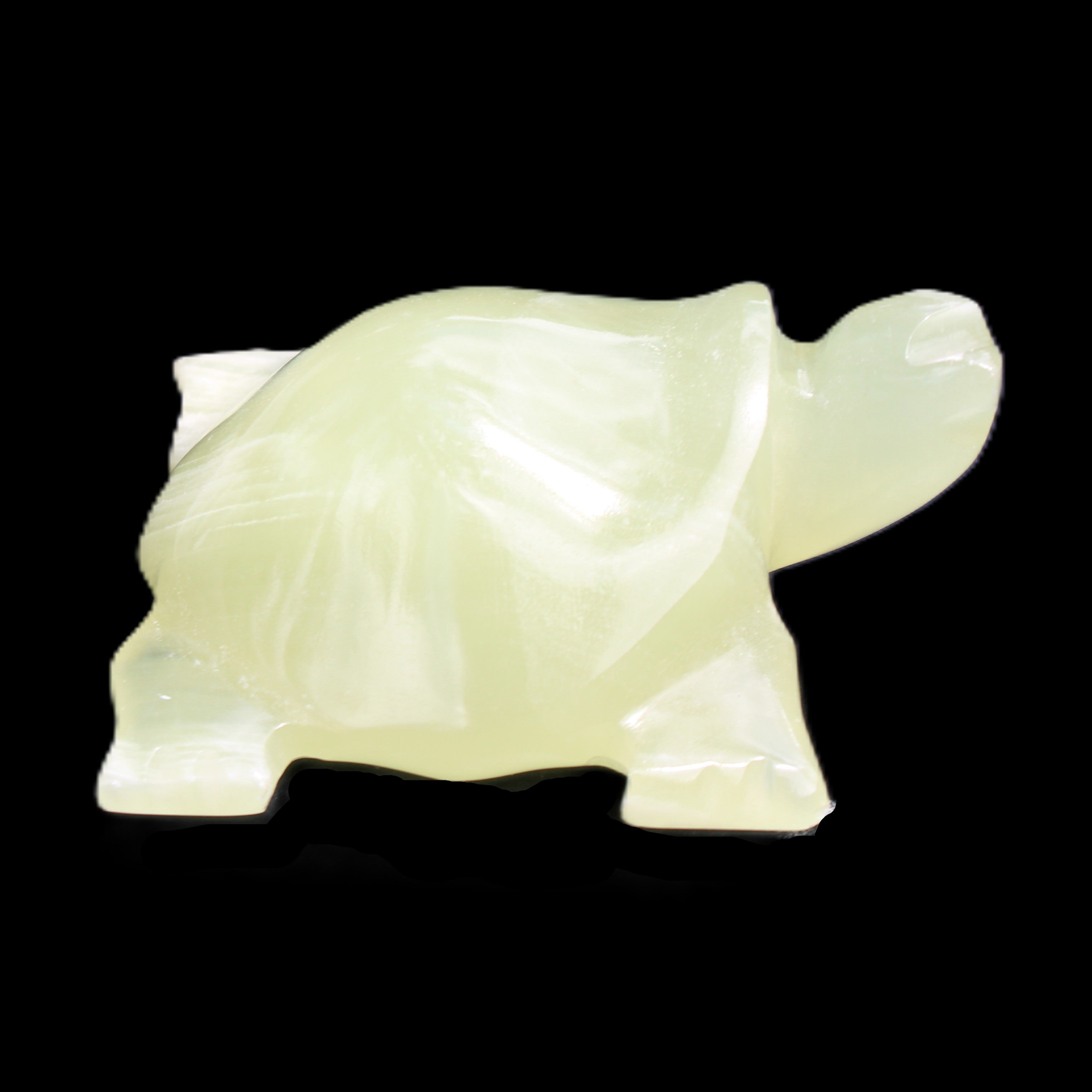 Afghan Jade Turtle hand-carved 78*72*31mm 211g in sunlight - Rocks and Things Store