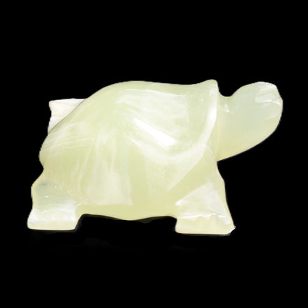 Afghan Jade Turtle hand-carved 78*72*31mm 211g in sunlight - Rocks and Things Store