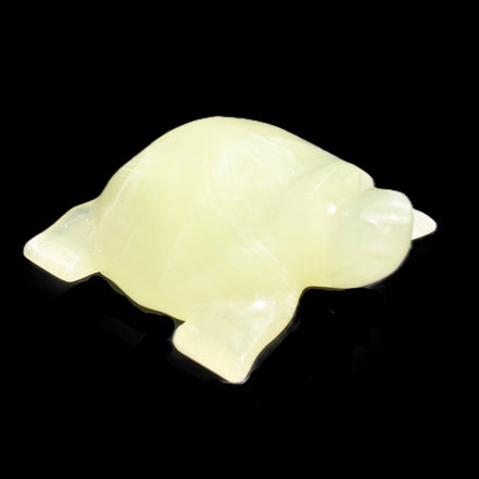 Afghan Jade Turtle hand-carved 78*72*31mm 211g in sunlight - Rocks and Things Store