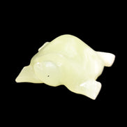 Afghan Jade Turtle hand-carved 78*72*31mm 211g in sunlight - Rocks and Things Store