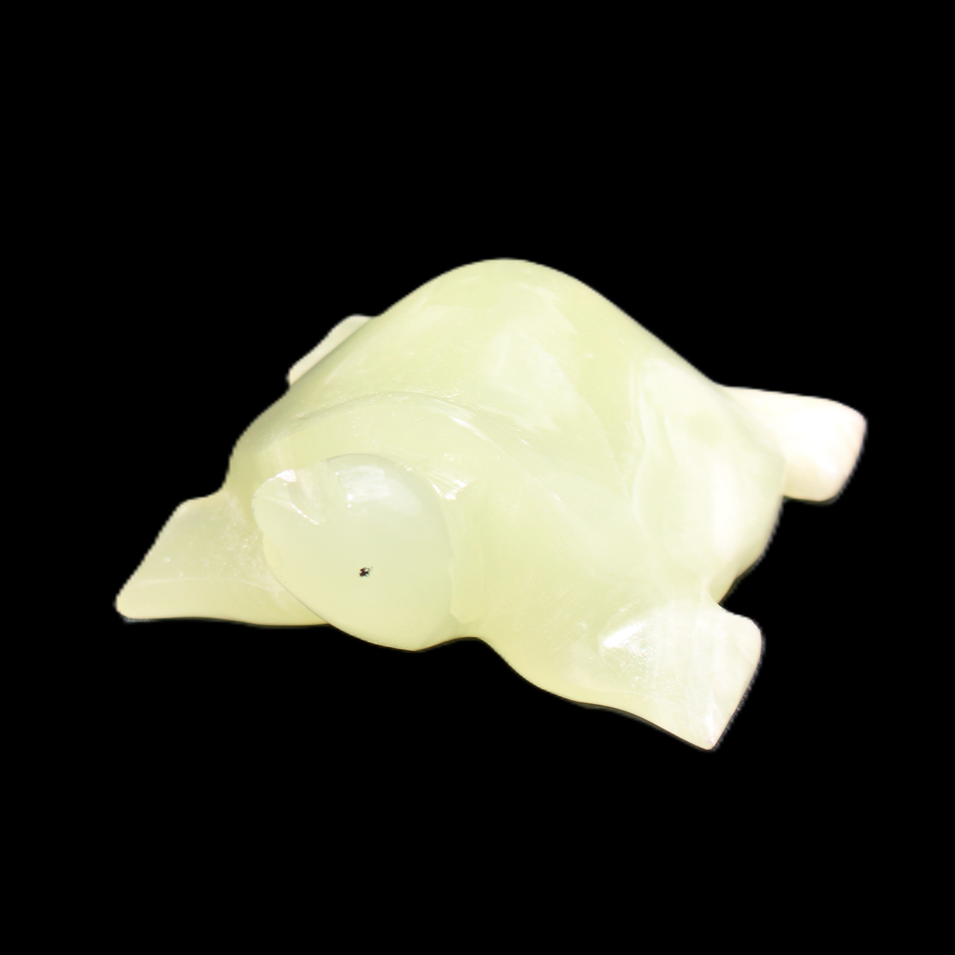 Afghan Jade Turtle hand-carved 78*72*31mm 211g in sunlight - Rocks and Things Store