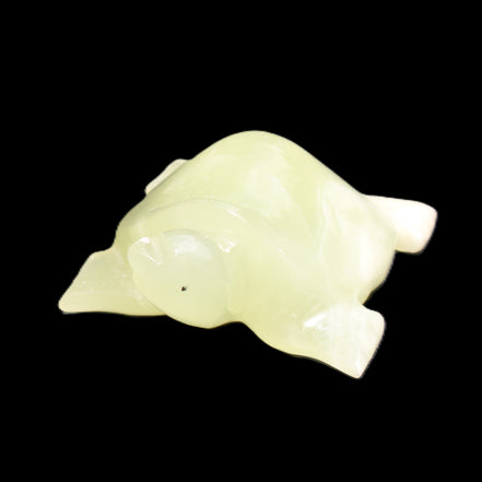 Afghan Jade Turtle hand-carved 78*72*31mm 211g in sunlight - Rocks and Things Store