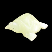 Afghan Jade Turtle hand-carved 78*72*31mm 211g in sunlight - Rocks and Things Store