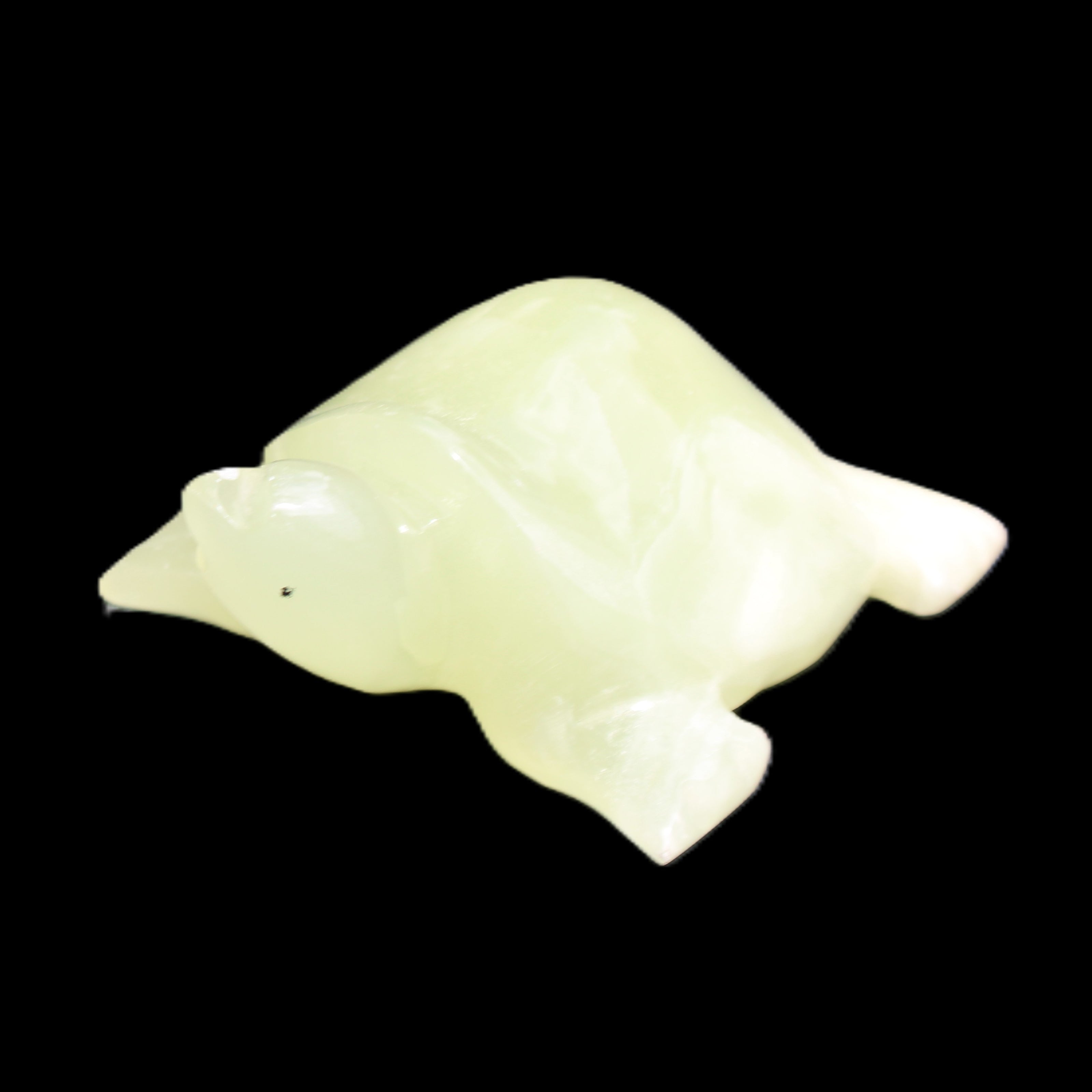 Afghan Jade Turtle hand-carved 78*72*31mm 211g in sunlight - Rocks and Things Store