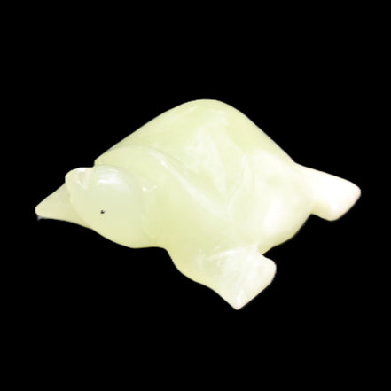 Afghan Jade Turtle hand-carved 78*72*31mm 211g in sunlight - Rocks and Things Store