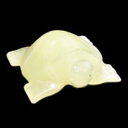 Afghan Jade Turtle hand-carved 78*72*31mm 211g in sunlight - Rocks and Things Store