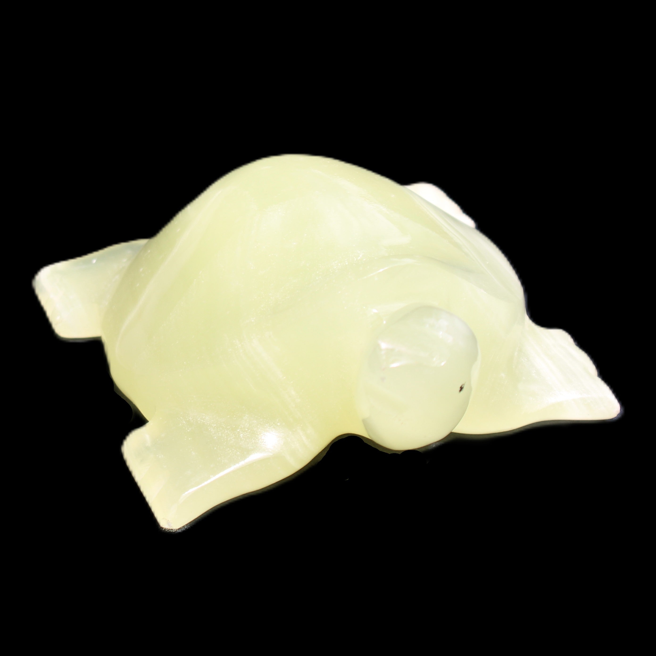 Afghan Jade Turtle hand-carved 78*72*31mm 211g in sunlight - Rocks and Things Store