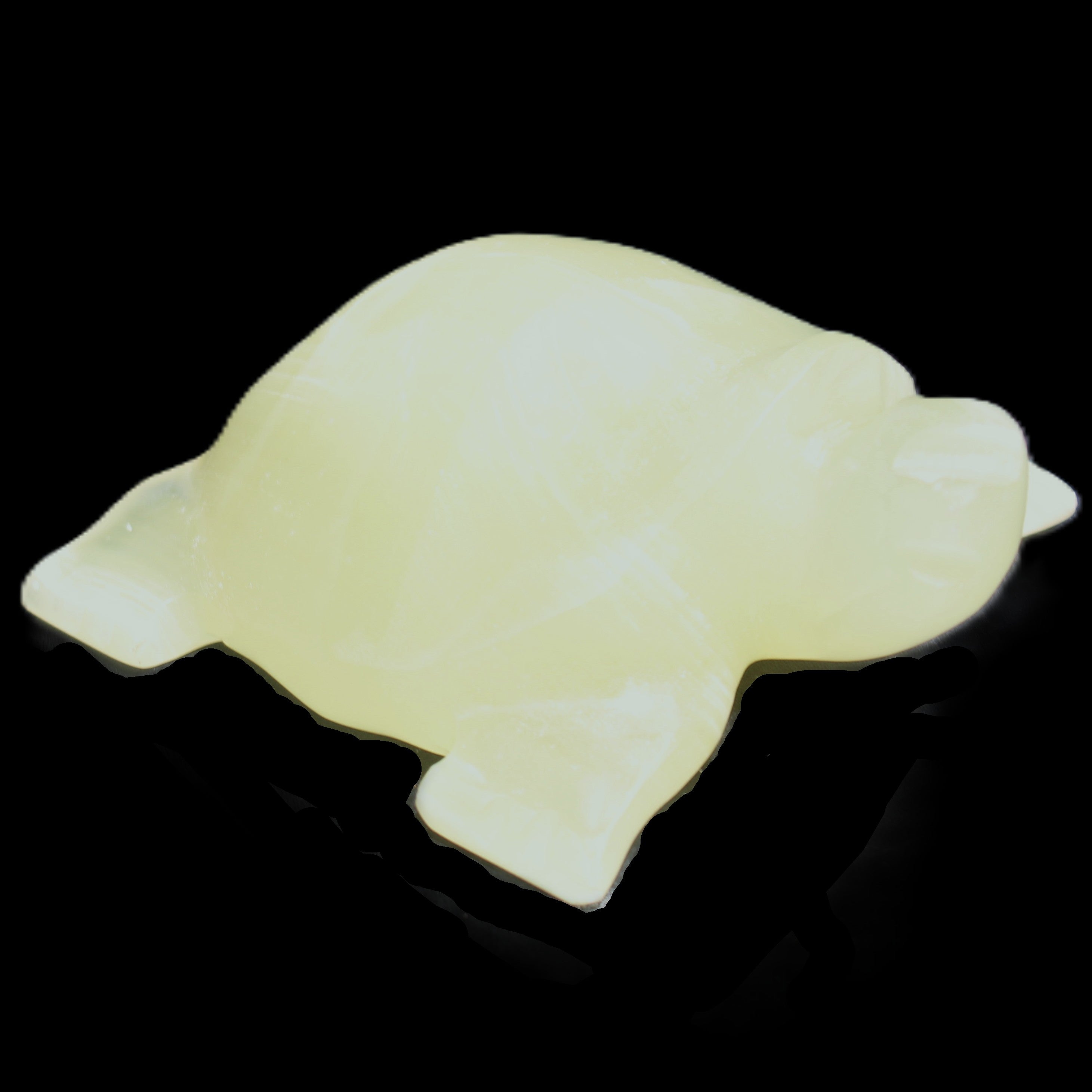 Afghan Jade Turtle hand-carved 78*72*31mm 211g in sunlight - Rocks and Things Store