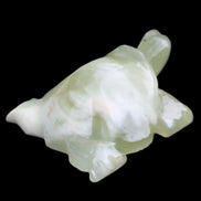 Afghan Jade Turtle hand-carved 78*61*30mm 181g in sunlight - Rocks and Things Store