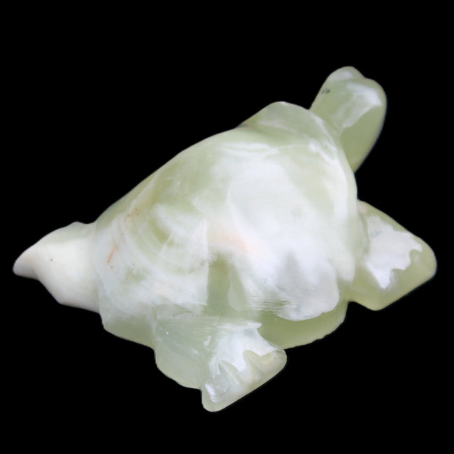 Afghan Jade Turtle hand-carved 78*61*30mm 181g in sunlight - Rocks and Things Store