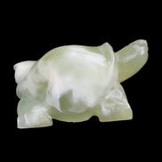 Afghan Jade Turtle hand-carved 78*61*30mm 181g in sunlight - Rocks and Things Store