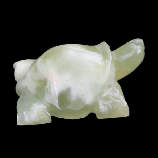 Afghan Jade Turtle hand-carved 78*61*30mm 181g in sunlight - Rocks and Things Store